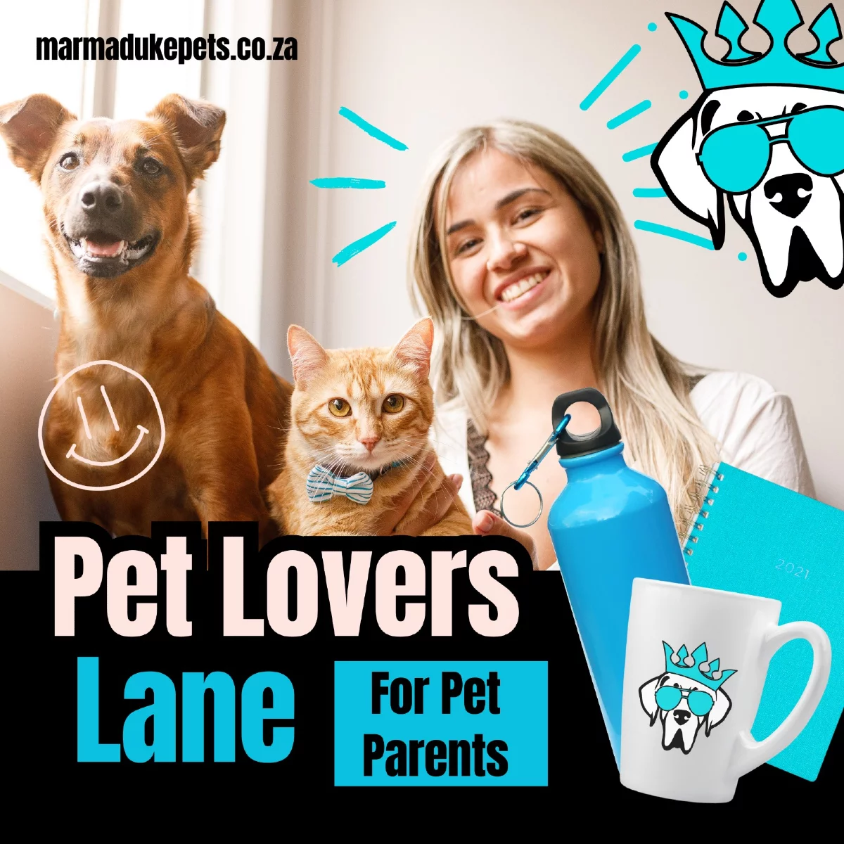 Social media post — Marmaduke Pets